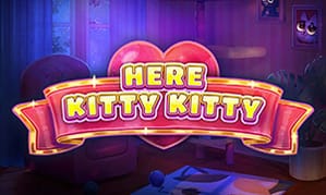 Hình ảnh Here Kitty Kitty tại fv88
